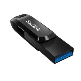 זיכרון נייד DUAL USB3.1/TYPEC GO 256BG